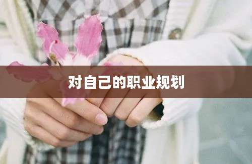 对自己的职业规划
