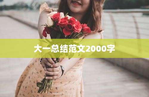大一总结范文2000字