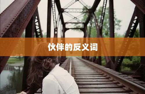 伙伴的反义词