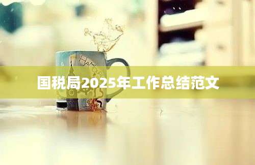 国税局2025年工作总结范文