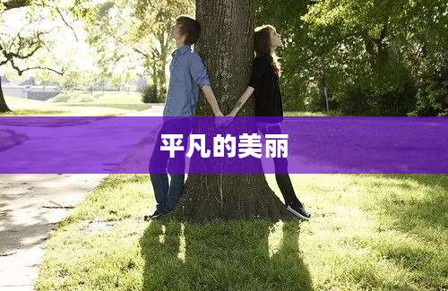 平凡的美丽