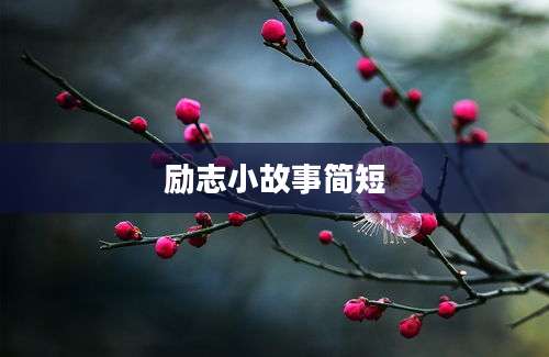 励志小故事简短