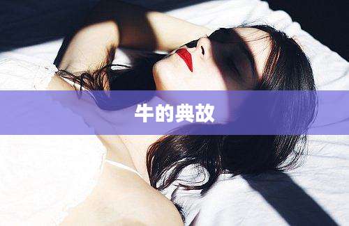牛的典故