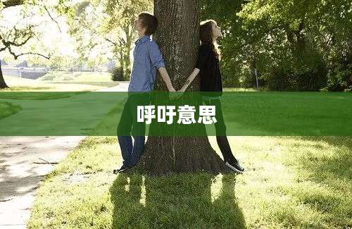 呼吁意思