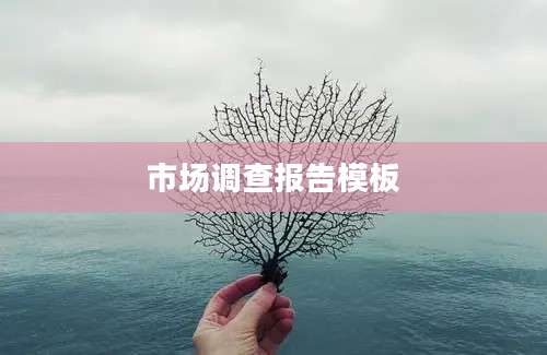 市场调查报告模板