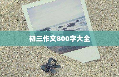 初三作文800字大全