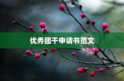 优秀团干申请书范文