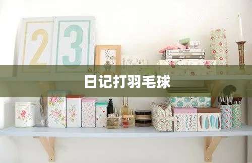 日记打羽毛球