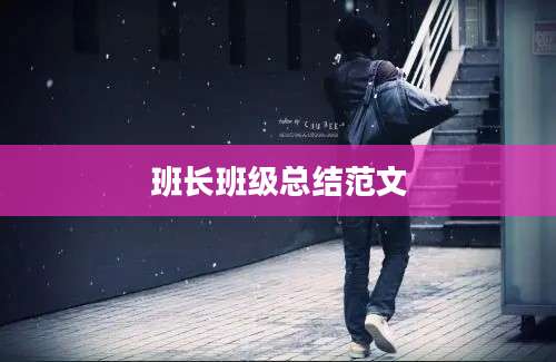 班长班级总结范文