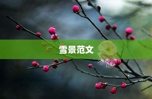 雪景范文