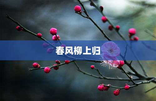 春风柳上归