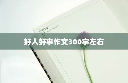 好人好事作文300字左右