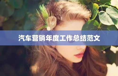 汽车营销年度工作总结范文