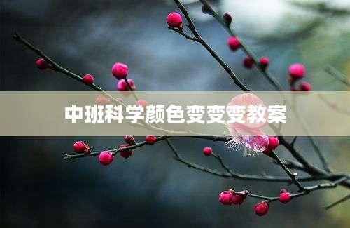 中班科学颜色变变变教案