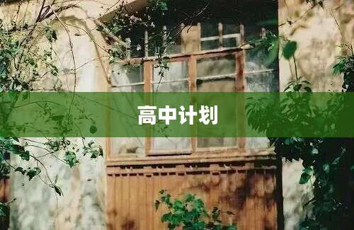 高中计划