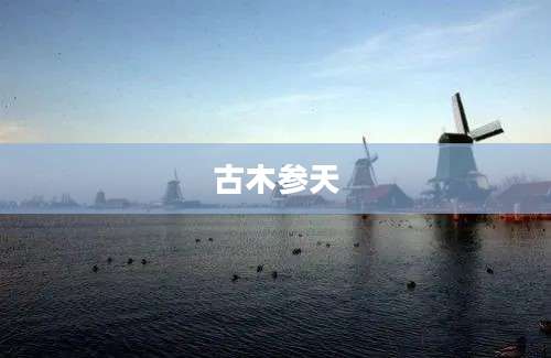 古木参天