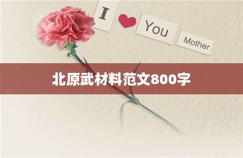 北原武材料范文800字