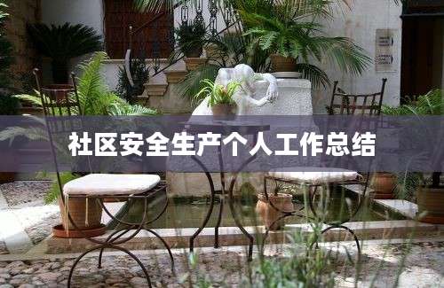 社区安全生产个人工作总结