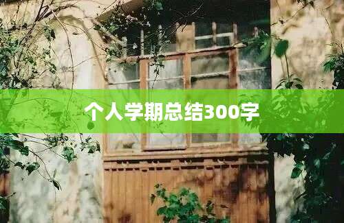 个人学期总结300字