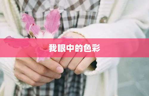 我眼中的色彩