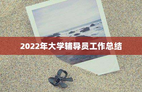 2022年大学辅导员工作总结