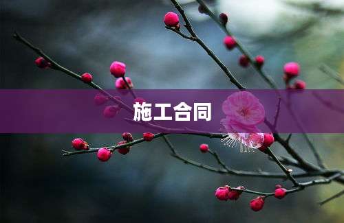施工合同