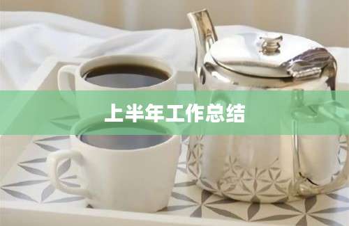 上半年工作总结