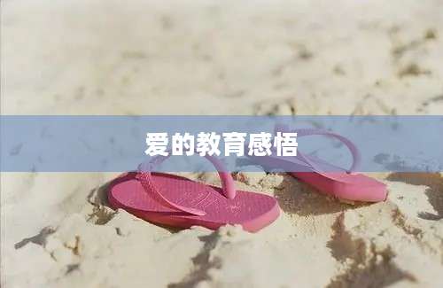 爱的教育感悟