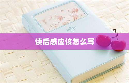 读后感应该怎么写