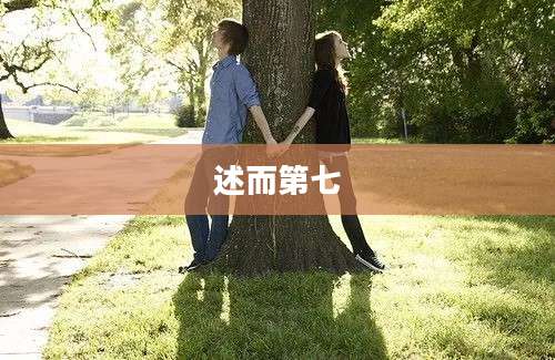 述而第七