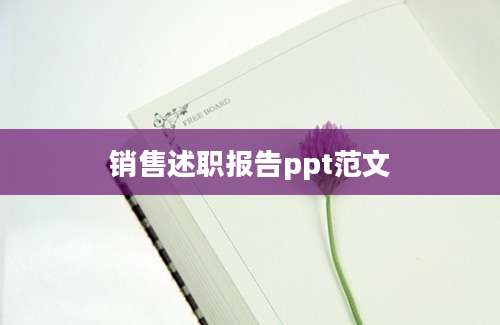 销售述职报告ppt范文