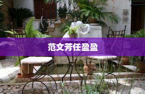 范文芳任盈盈