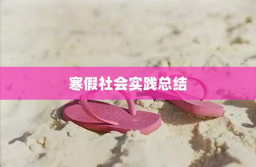 寒假社会实践总结
