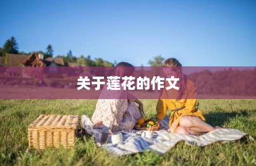 关于莲花的作文