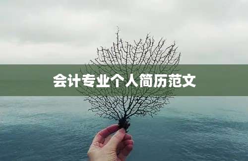 会计专业个人简历范文