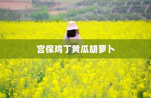 宫保鸡丁黄瓜胡萝卜