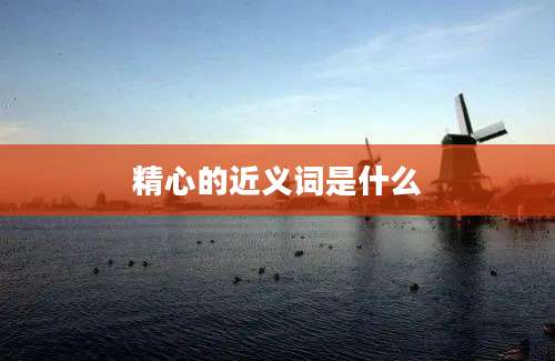 精心的近义词是什么