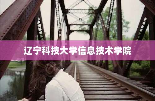 辽宁科技大学信息技术学院