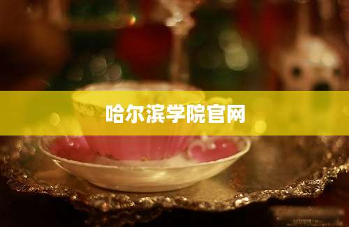 哈尔滨学院官网