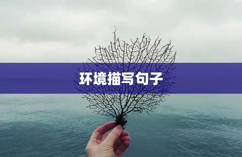 环境描写句子