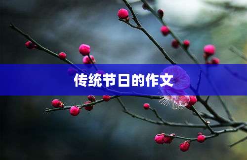 传统节日的作文