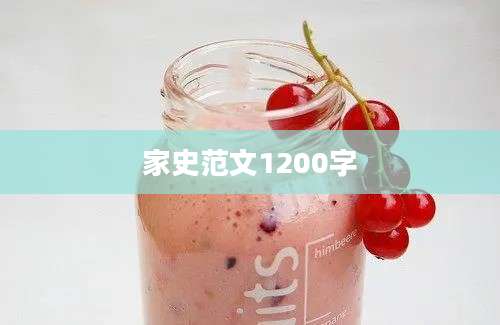 家史范文1200字