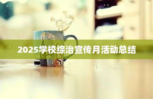 2025学校综治宣传月活动总结