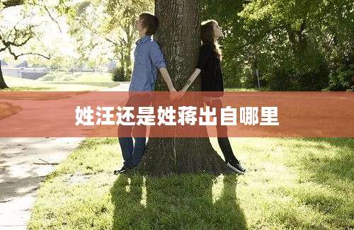 姓汪还是姓蒋出自哪里