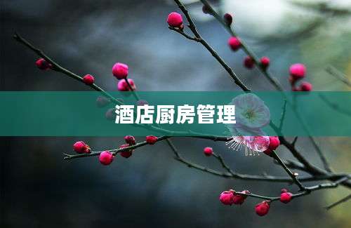 酒店厨房管理