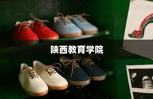 陕西教育学院