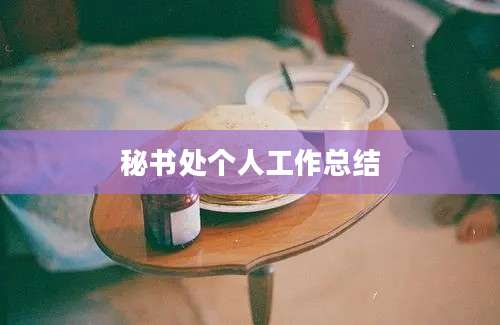秘书处个人工作总结
