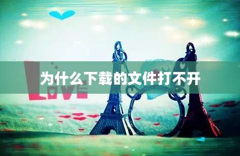 为什么下载的文件打不开