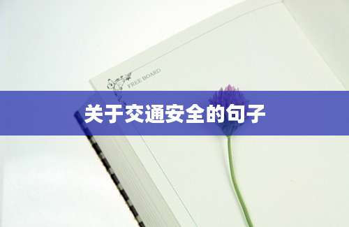 关于交通安全的句子