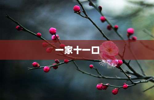 一家十一口